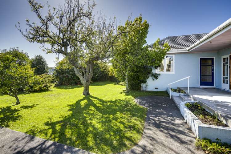 20 White Street Taradale_7