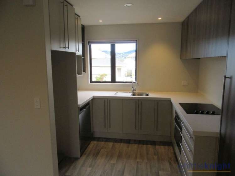 87 Burke Street Addington_2