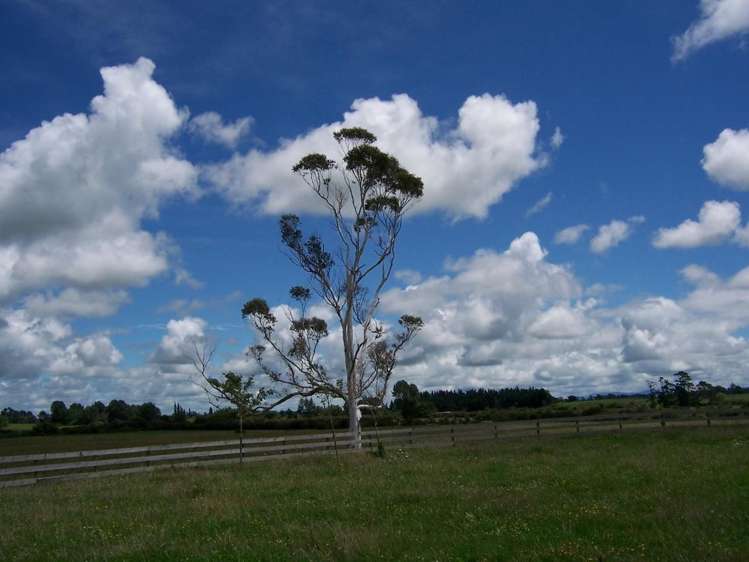 646 Te Aroha-Gordon Road Hauraki Surrounds_15