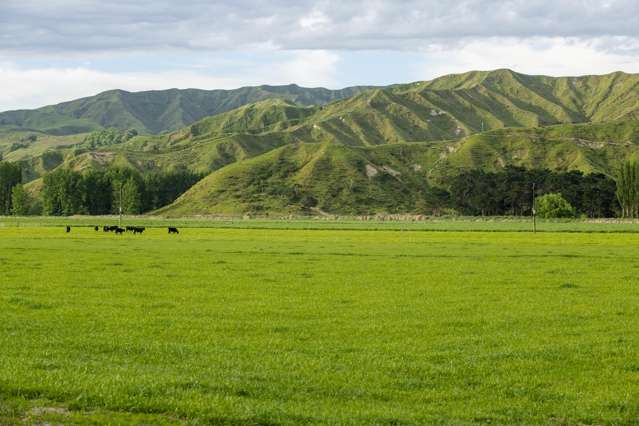 2225 State Highway 2 Whakaki_2