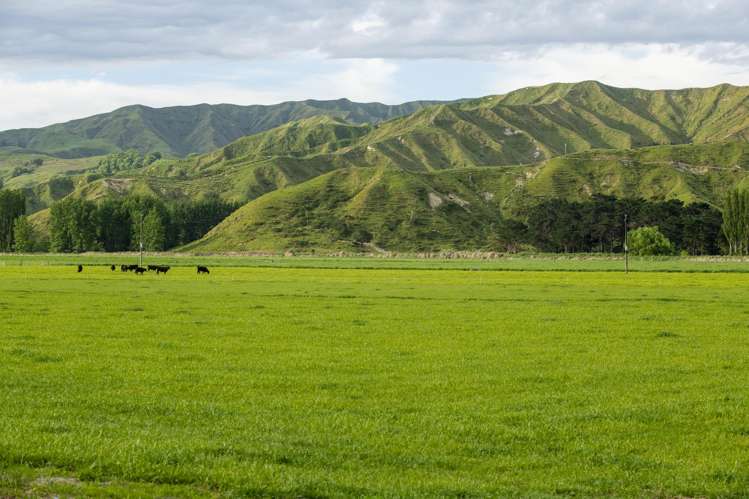 2225 State Highway 2 Whakaki_2