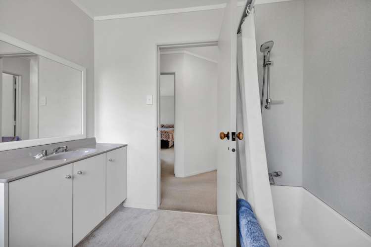 217 Carrington Street Vogeltown_9
