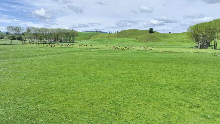 62 Rehi Road Ngakuru_6