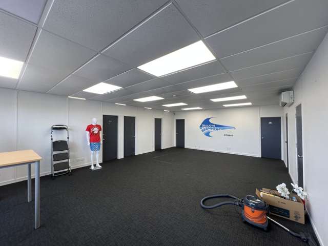 Level 1/3/28 Lambie Drive Manukau_1