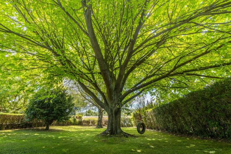 1091 Halcombe Road Halcombe_24