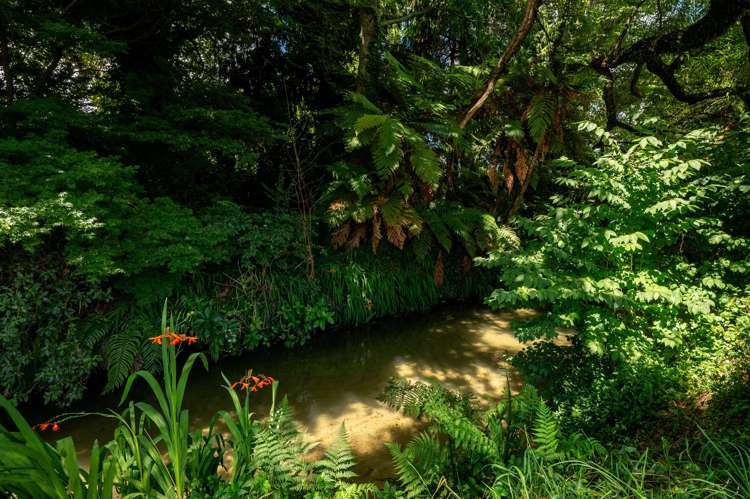 266 Malfroy Road Westbrook_14