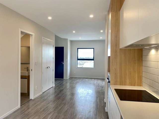 Modern  2 Bedrooms Townhouse