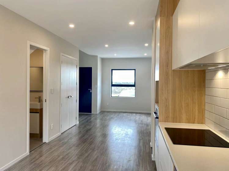40 Paina Crescent_0