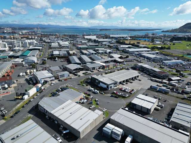 6 Rerewai Place Mount Maunganui_4