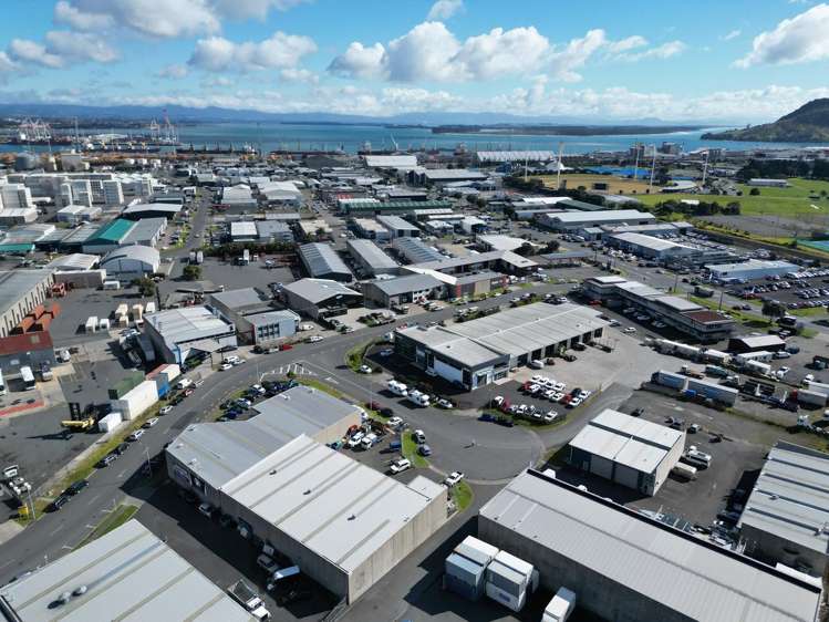 6 Rerewai Place Mount Maunganui_4