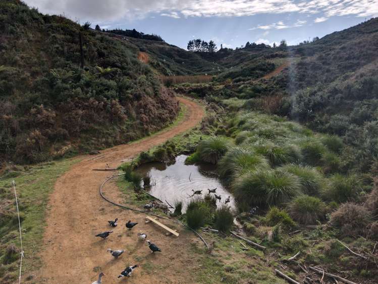 37 Waikaretu Wairamarama Road Glen Murray_16