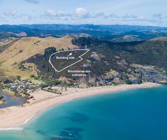 12 ACRES - PRIVATE,  COASTAL TAURANGA BAY