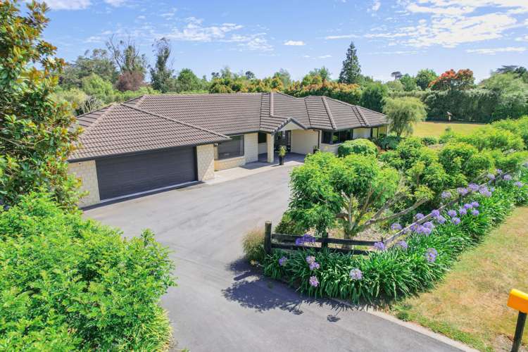 20 Redwood Grove Levin_3