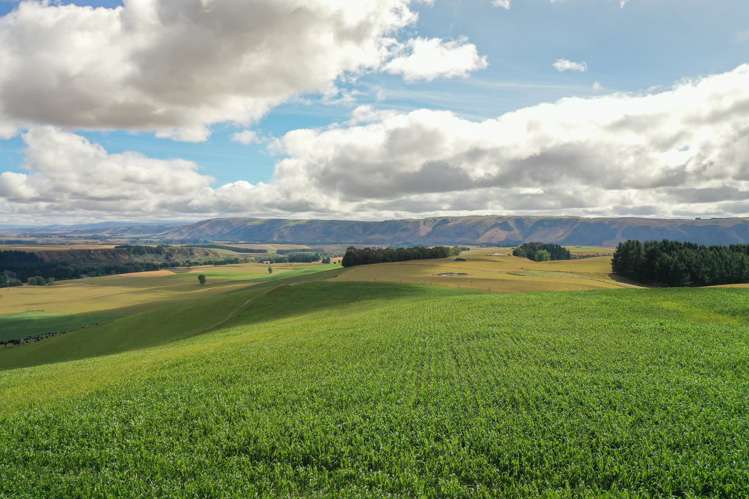 686 Rocky Gully Road Albury_7