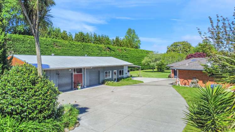 1156 Braemar Road Rotoma_5