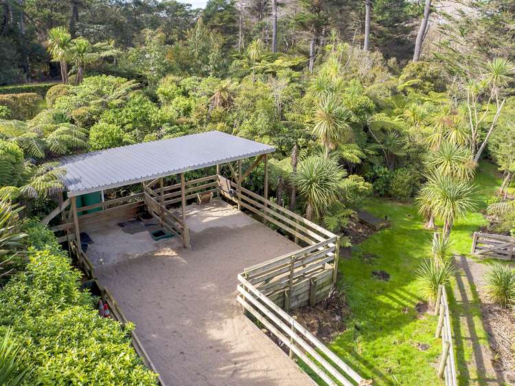 11 Drury Lane Dairy Flat_4