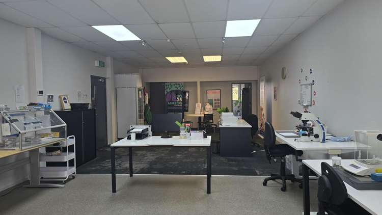 Level 1, Suite 2/1277-1279 Cameron Road Tauranga Central_2