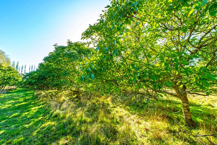 178 Springston Rolleston Road Rolleston_23