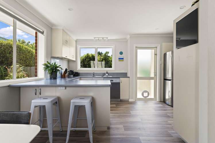 25 Duckworth Street Andersons Bay_5