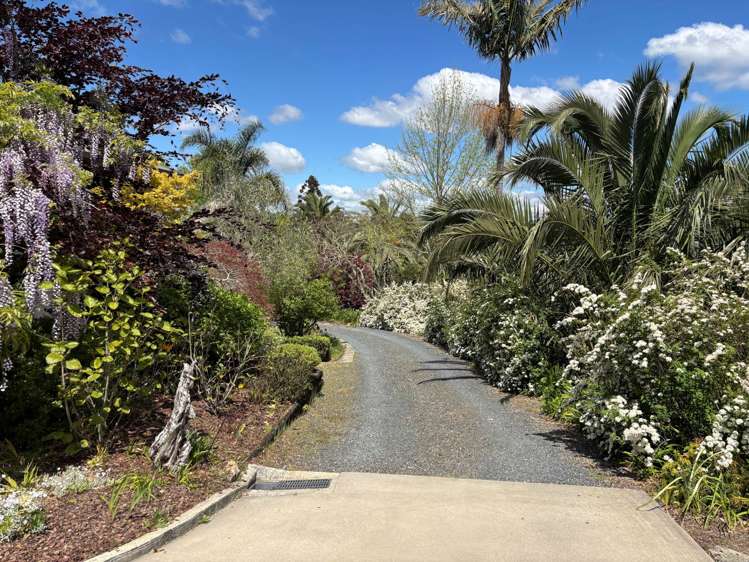 1 Palm Drive Kerikeri_34