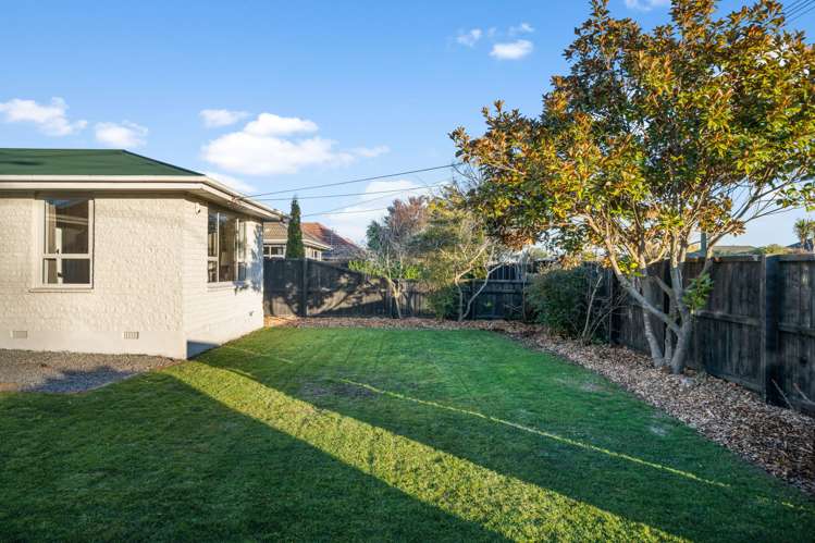 88 Joy Street Shirley_16