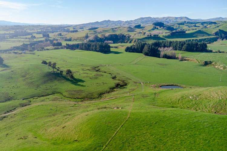 30 Mangahei Road Dannevirke_10