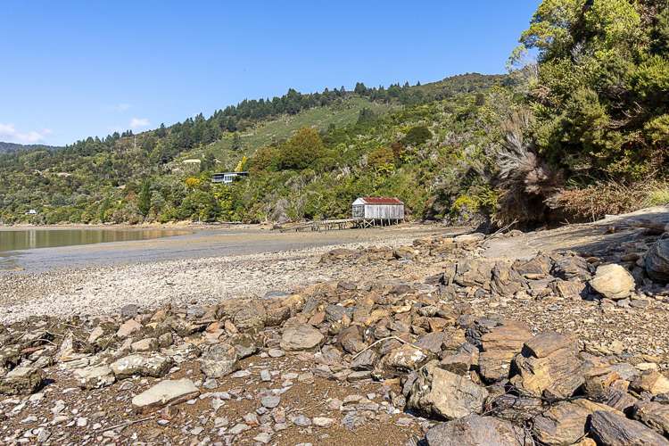 581 Queen Charlotte Drive Havelock_3