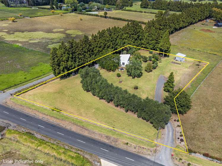 133 Apotu Road Kauri_15