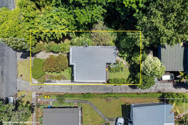 50 Gardner Avenue New Lynn_1