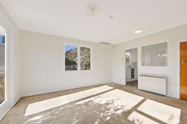 12/17 Waimea Road Nelson South_3