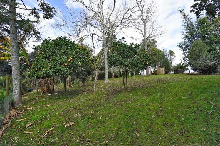 10 Robertson Road Whatawhata_6