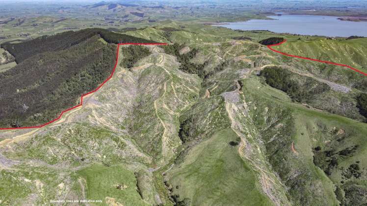 121a Taniwha Road Waiterimu_10