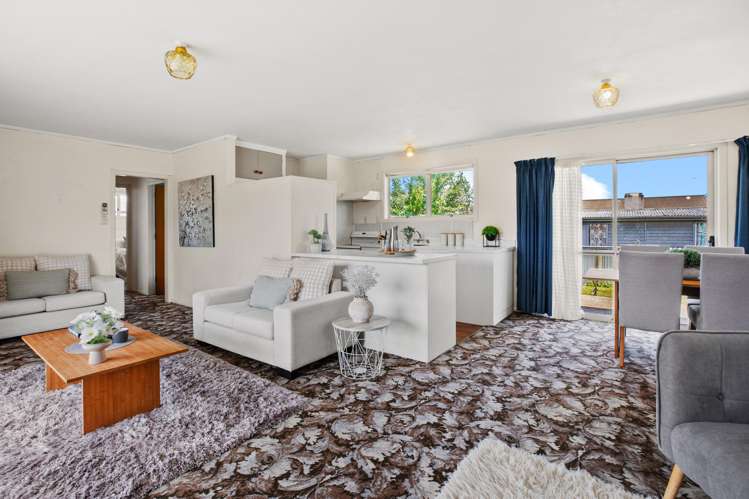 53 Hinewai Street Otorohanga_5