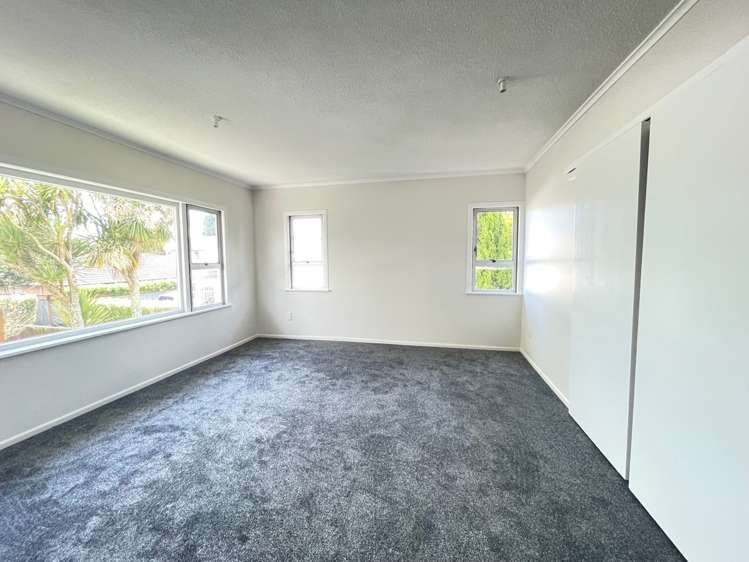 113 Luke Street Otahuhu_12