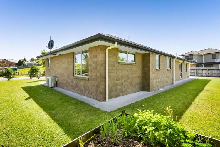 17 Heta Road Highlands Park_21