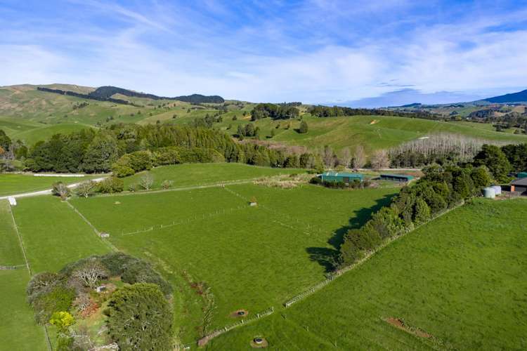 143 Pond Road Raglan_13