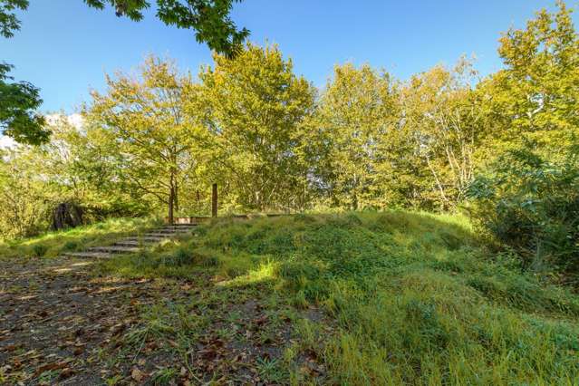 125 Boscabel Drive Ohauiti_1