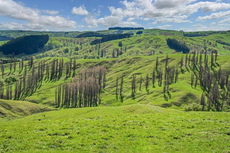 683 Bush Road Wallingford_25