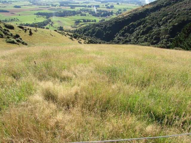 42 Bushside Road West Otago Surrounds_4