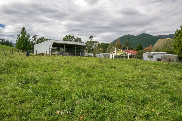 64 Hills Road Rai Valley_1