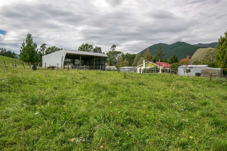 64 Hills Road Rai Valley_1