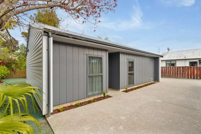 25a Michael Street Masterton_1