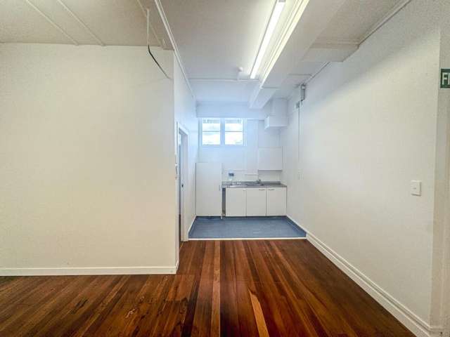 309 Dominion Road Mount Eden_4