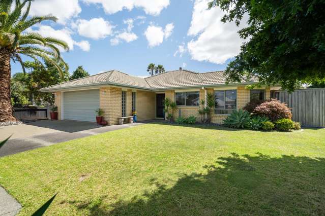 20 Francevic Avenue Mount Maunganui_1