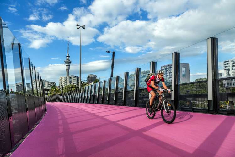 5f/208 Hobson Street Auckland Central_14