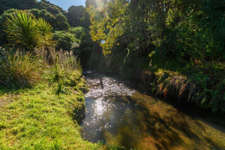 138 Adler Drive Ohauiti_21