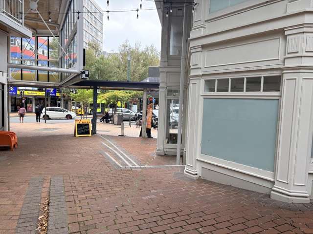 Ground/120 Victoria Street Te Aro_2