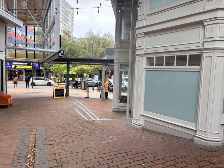 Ground/120 Victoria Street Te Aro_6