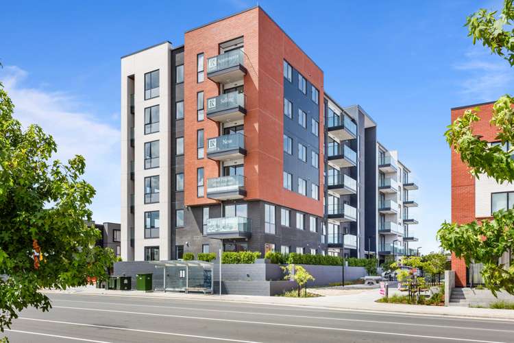 Build-to-Rent may bring relief to NZ rental market
