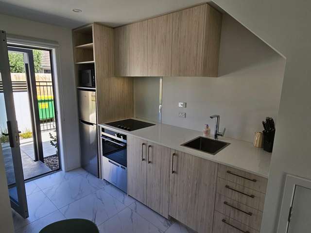  19 Winchester Street Merivale_3